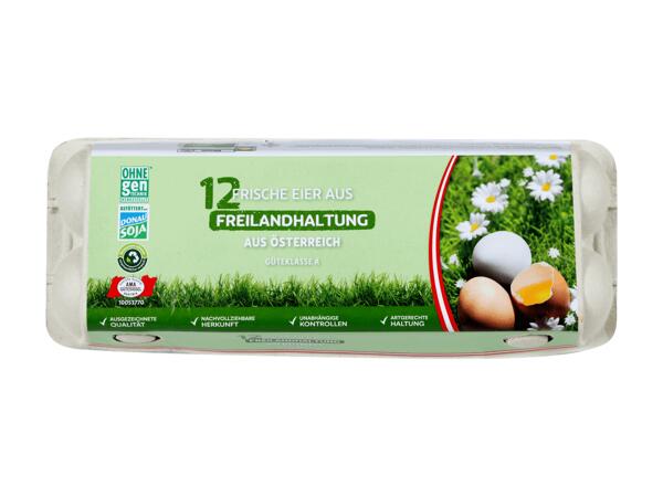 Eier aus Freilandhaltung