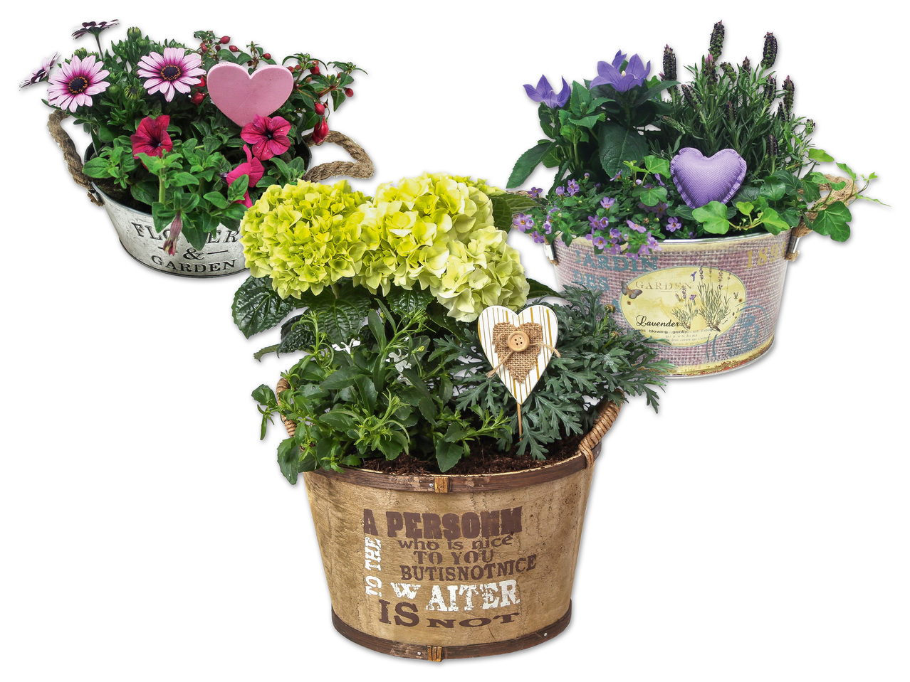 Bepflanzte Holzschale, Muttertagstopf Lavendel/Fleurs & Garden