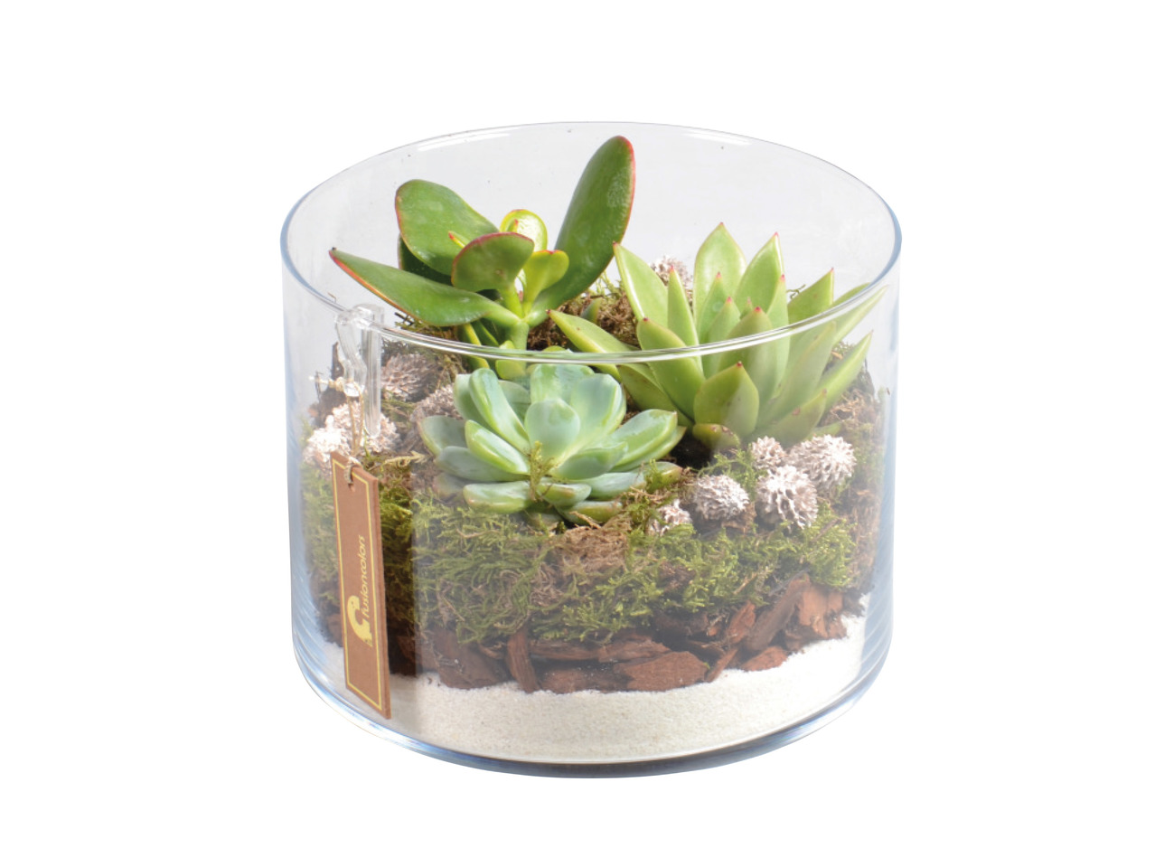Succulent Planter1