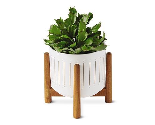 Belavi 
 Ceramic Planter on Stand