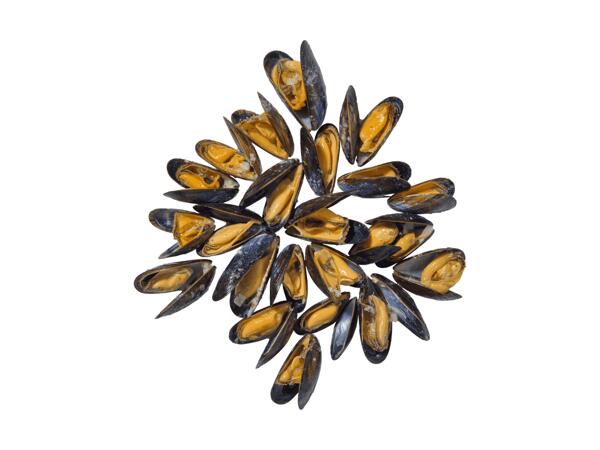 Moules cuites à la crème La Cancalaise
