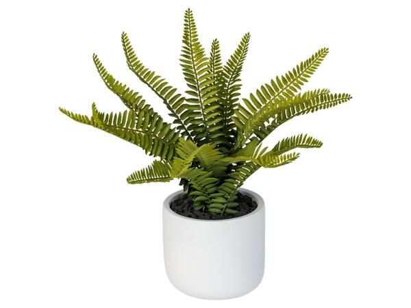 Artificial Plant