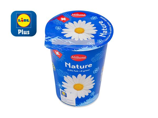 Yogourt nature 3,5%