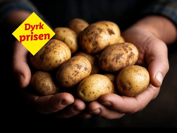 Danske kartofler