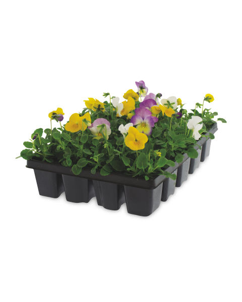 Autumn Bedding 20 Pack