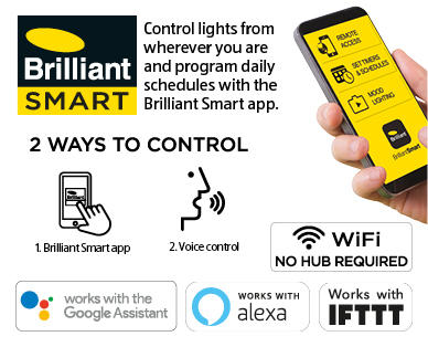 Brilliant Smart Twin Security Light