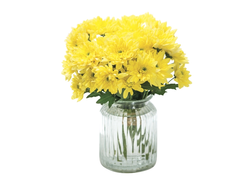 Chrysanthemums