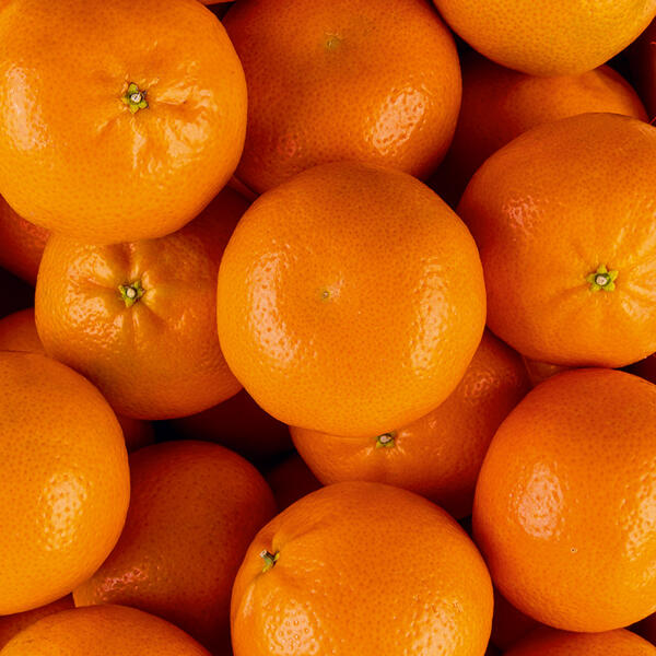 Premium Mandarinen