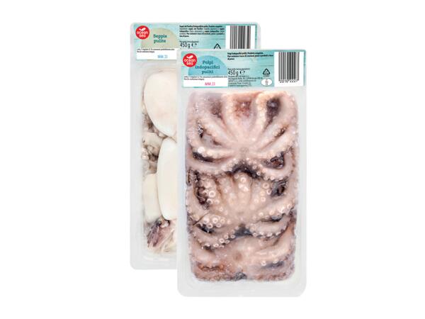 Octopus or cuttlefish