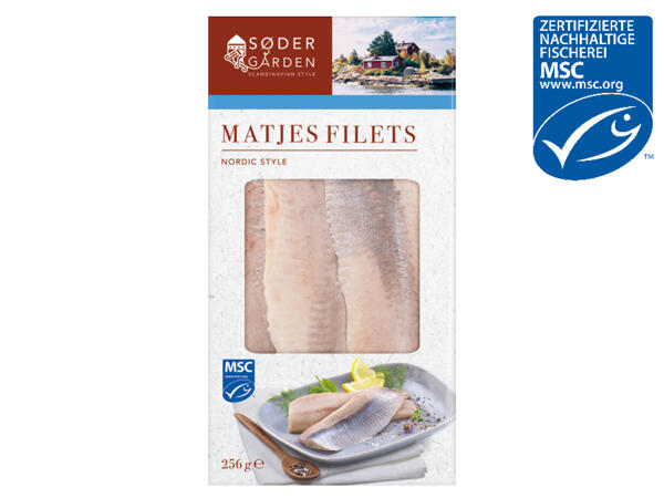 MSC Matjesfilets