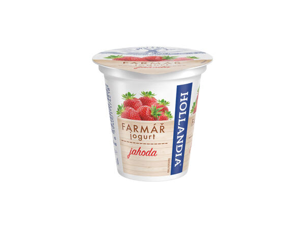 FARMÁŘ JOGURT OCHUCENÝ