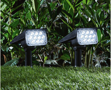 Solar Garden Lights
