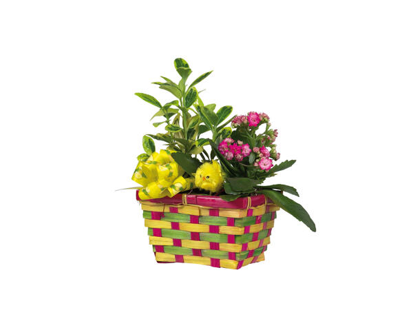 Easter Planter Basket
