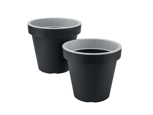 Plant Pot