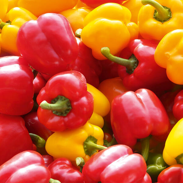 Paprika Sweet Mix