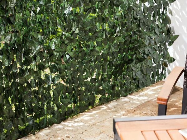 Privacy Screen