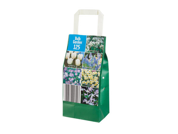 Flower Bulbs in Paper Bag
