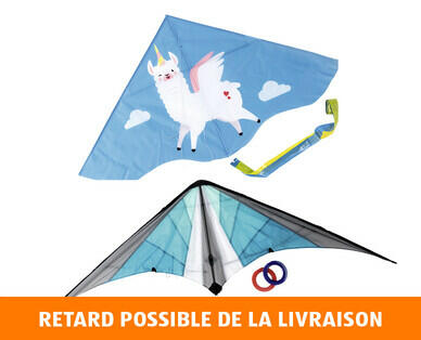 CRANE(R) 
 CERF-VOLANT
