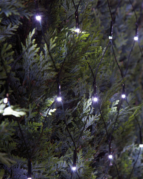 240 LED Net Lights