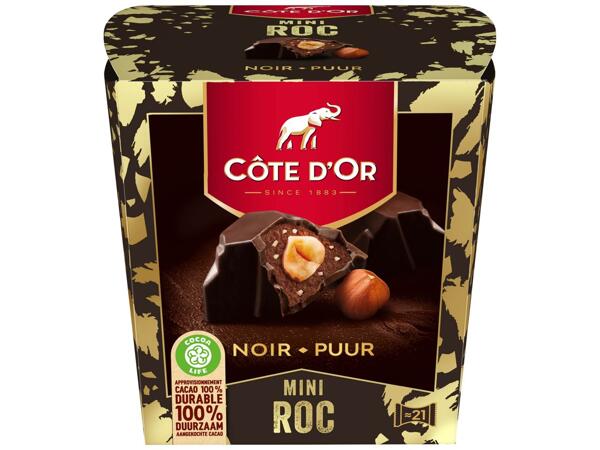 Côte d'Or Mini Rocher