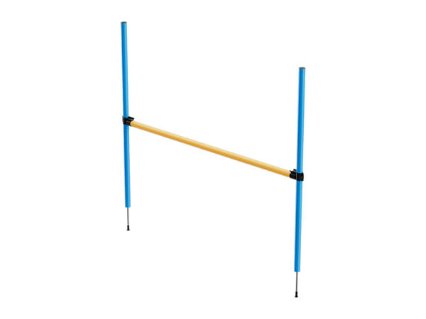 Zoofari Dog Agility Set