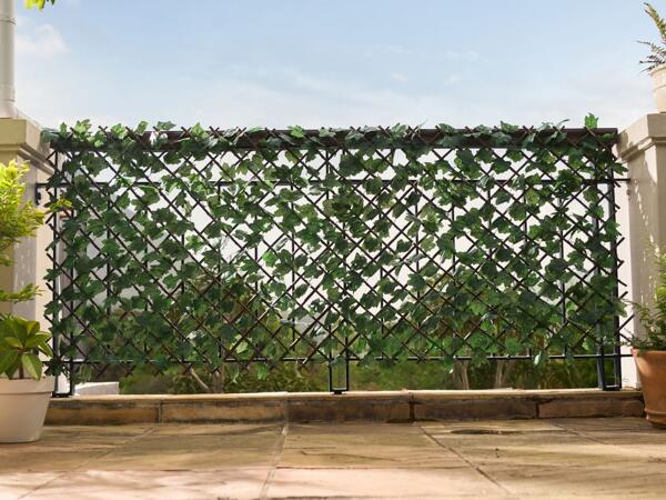 Privacy Screen