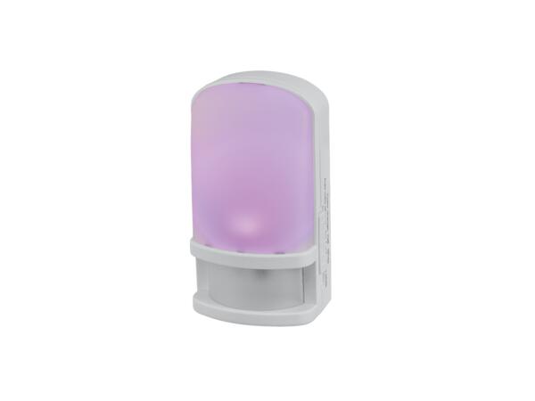 LED Night Light