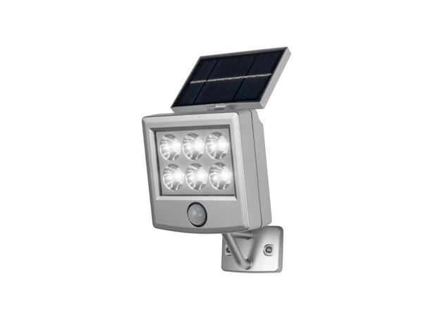 LED Solar Light with Integrated Motion Detector