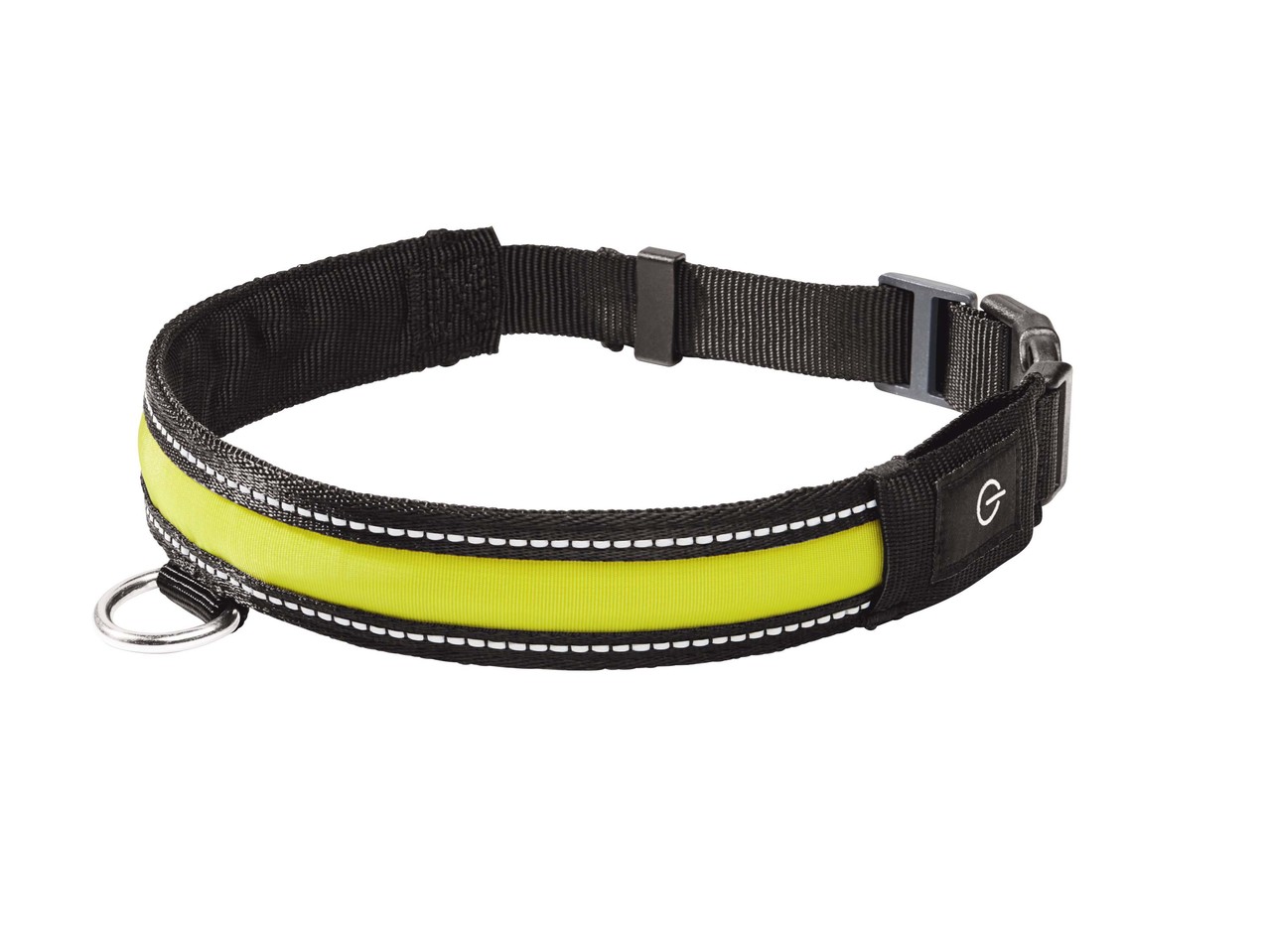 LED Dog Band/Collar