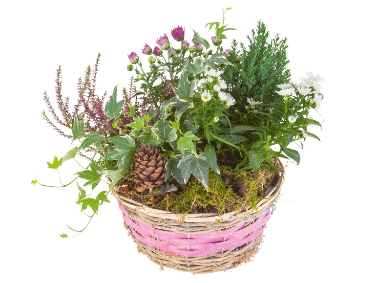 Bepflanzter Herbstkorb