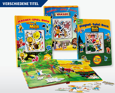 Magnetbuch