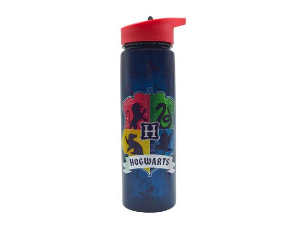 Zak Character Water Bottle - 600ml