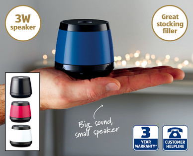 Wireless Speaker Bug