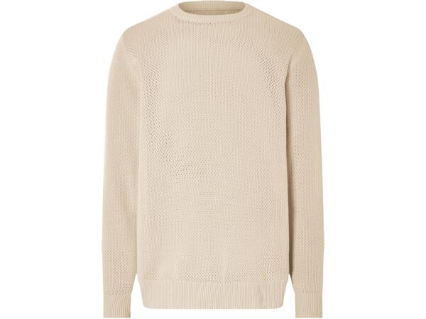 Men's knitted jumper