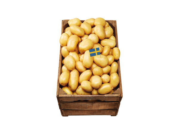 Potatis
