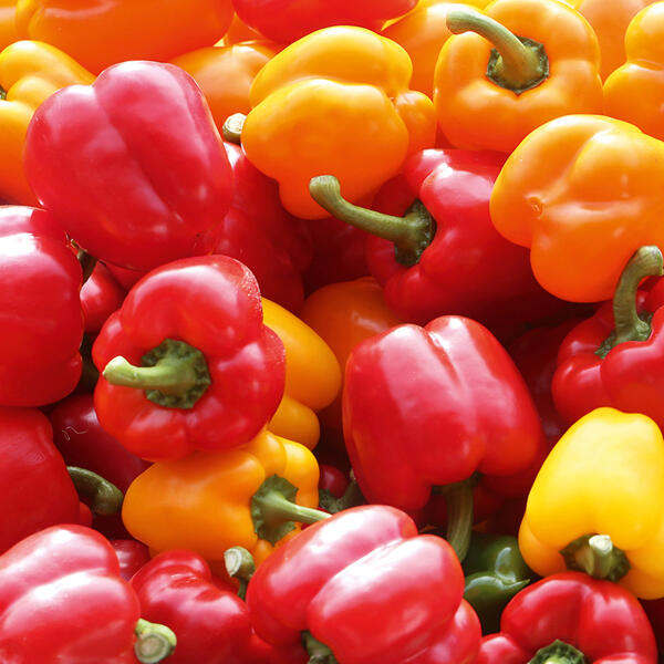 Paprika Sweet Mix