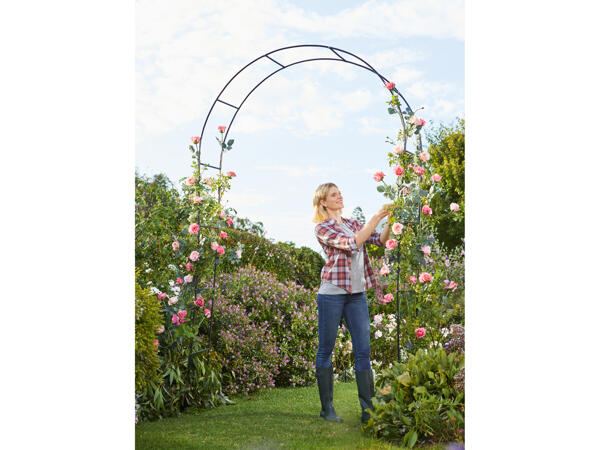 Garden Obelisk or Rose Arch