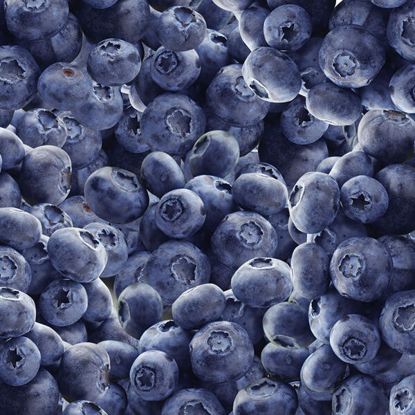 Heidelbeeren