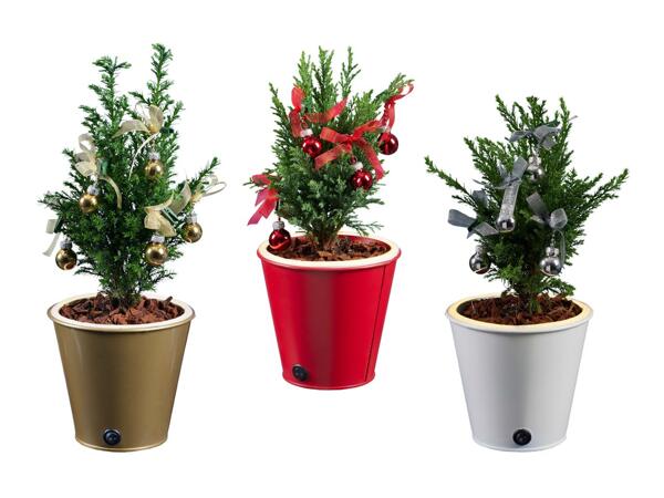 Petit sapin de Noël avec LED dans un pot en zinc