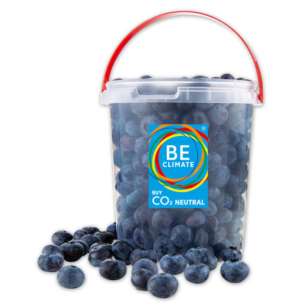 Premium Kulturheidelbeeren