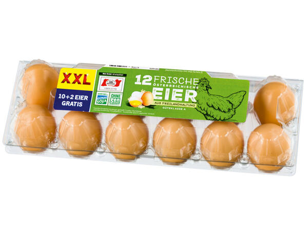 12 Eier aus Freilandhaltung