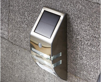 Solar Step or Wall Light