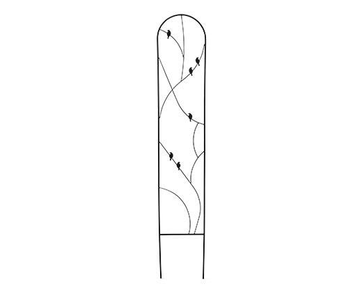 Belavi Trellis