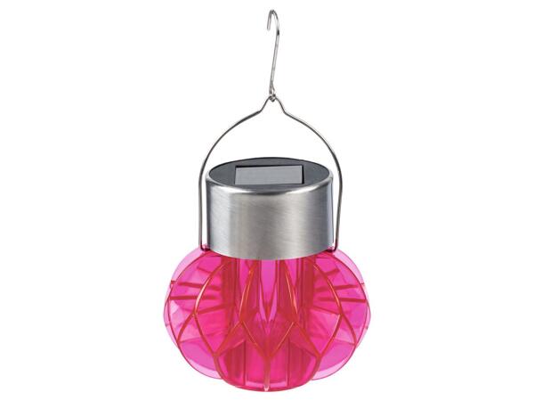 Livarno Decorative Solar Light
