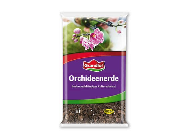 Orkidé-jord