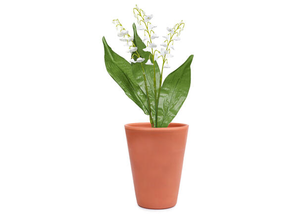 Muguet en pot de terre cuite