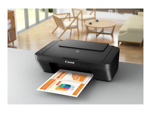 Canon PIXMA MG2550S Printer