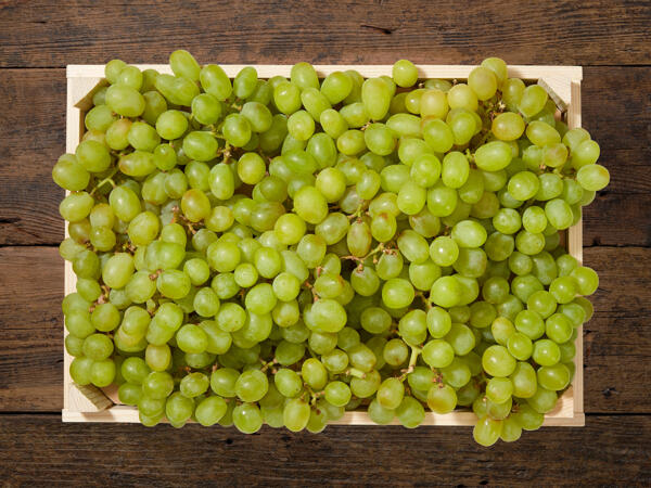 Raisin blanc sans pépins bio