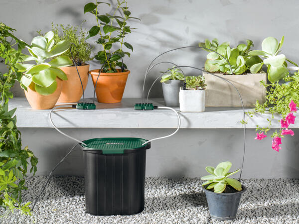 Holiday Irrigation System