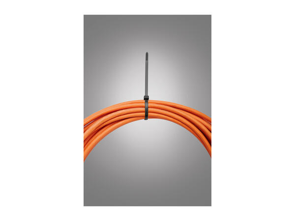 Parkside Cable Tie Set - 1000 pieces